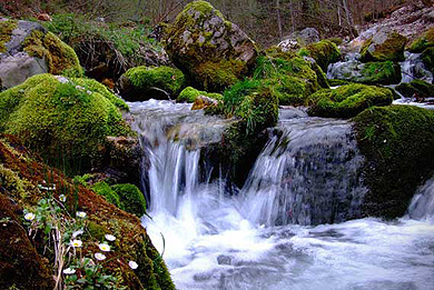 Tara -reka Rača